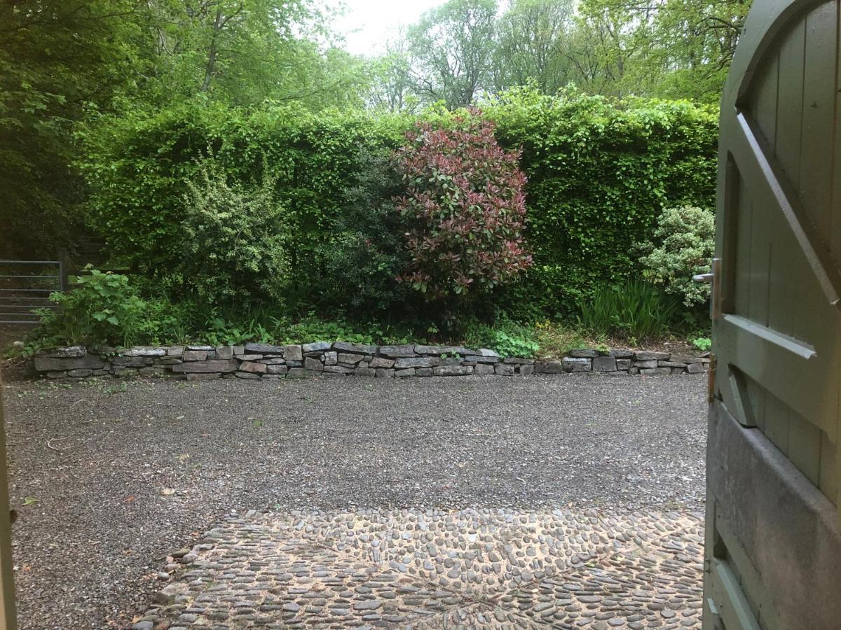 Stables Cottage, Idyllic Location Stunning Views Llandysul Exterior photo